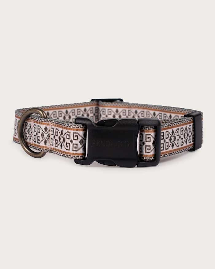 WESTERLEY ADVENTURE COLLAR
